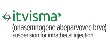 ITVISMA logo.