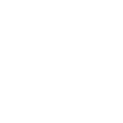 icon of person